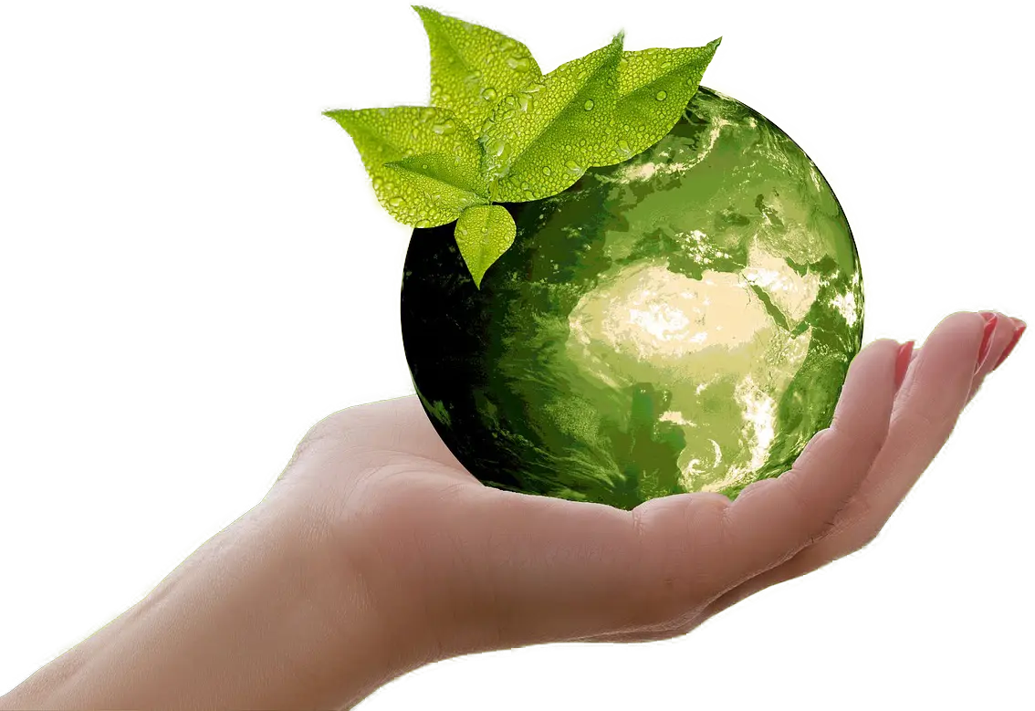 recycle